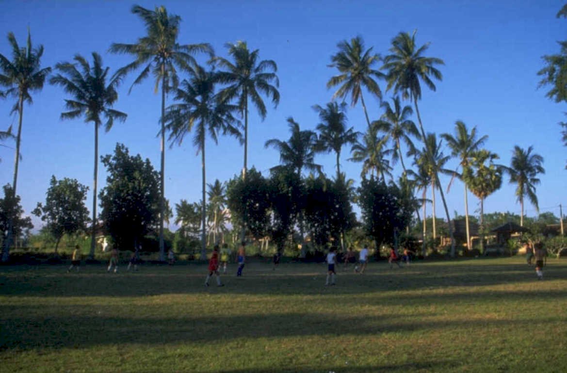 soccer palm blue 1980s 1990s A4 Photo Print