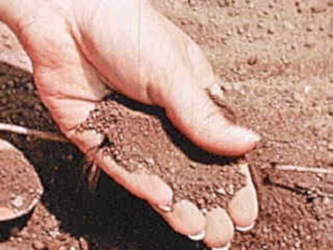 soil sample garden1980s 1990s A4 Photo Print