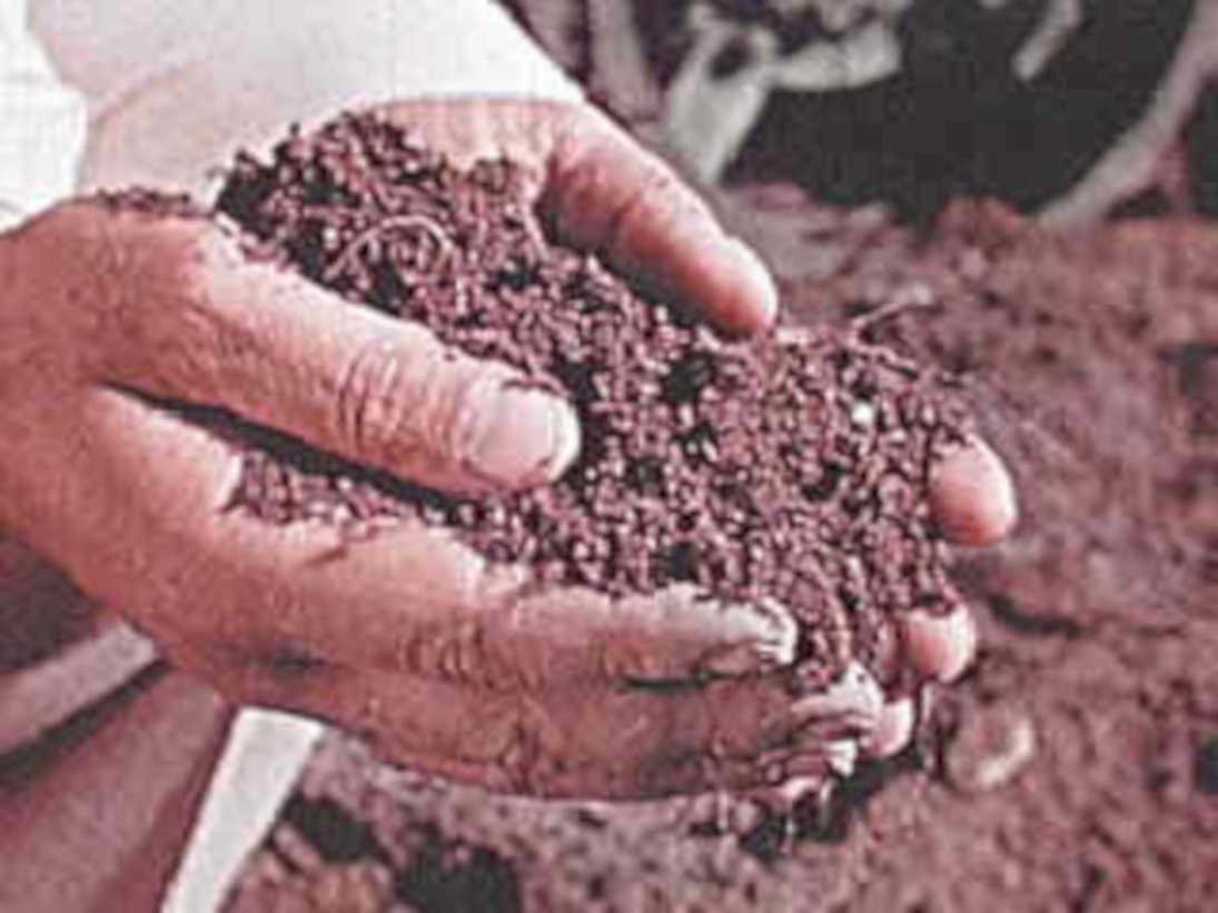 soil sample texture1980s 1990s A4 Photo Print