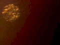 solar flare sun1980s 1990s A4 Photo Print
