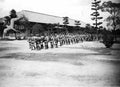 soldiers drill birds Vintage world war A4 Photo Print