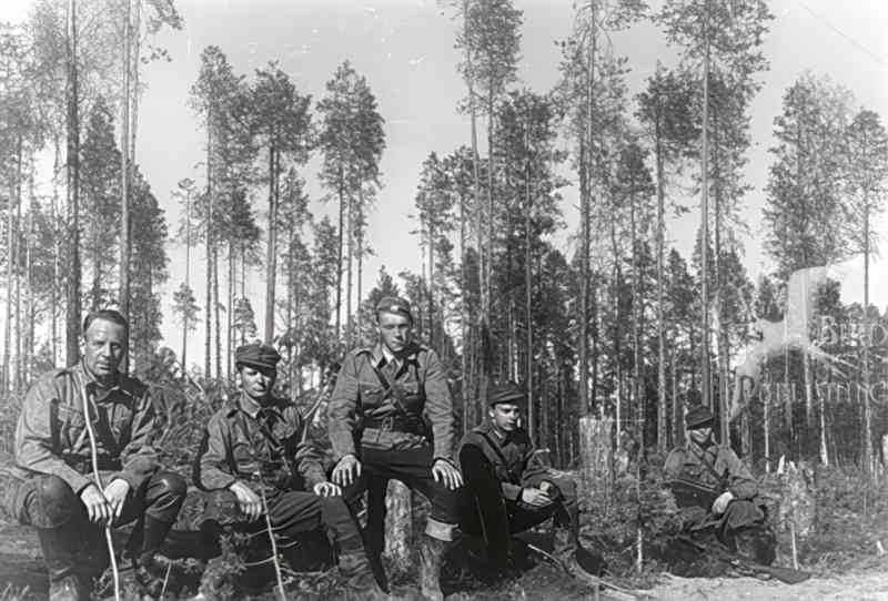 soldiers pine forest Vintage world war A4 Photo Print