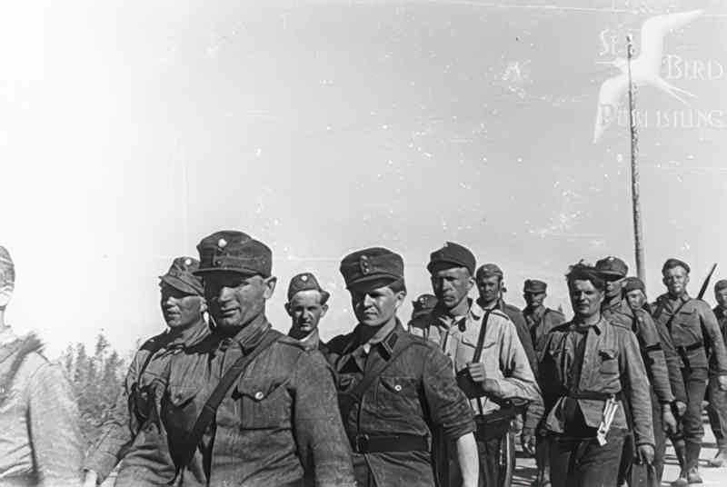 soviet soldiers sea Vintage world war A4 Photo Print