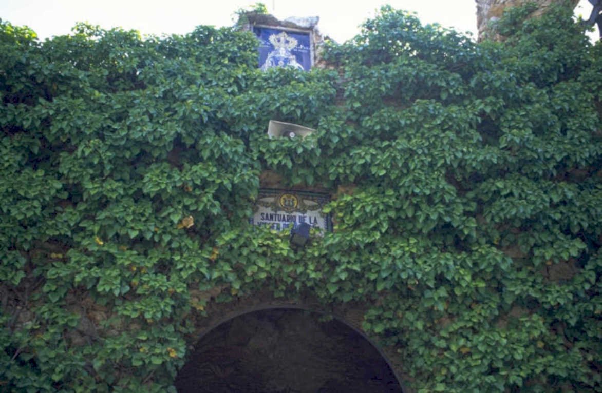 spain archway ivy 1980s 1990s A4 Photo Print