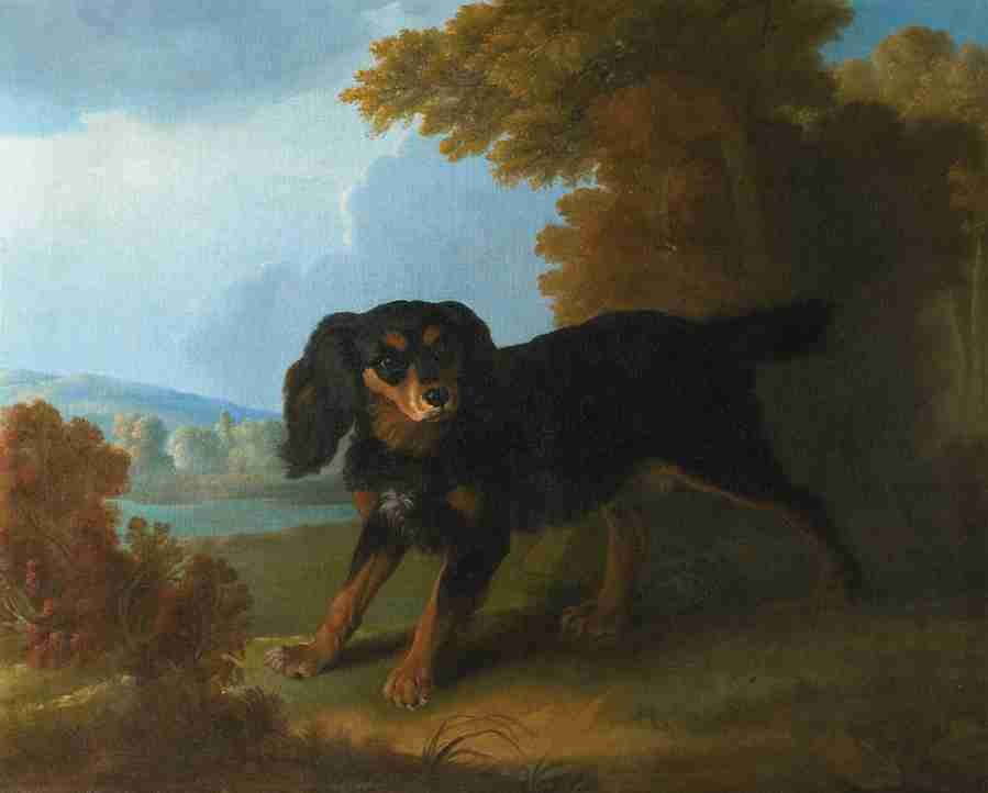 spaniel 3 Art A4 Photo Print