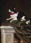 spaniel Art A4 Photo Print