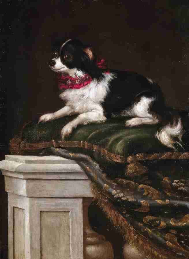 spaniel Art A4 Photo Print