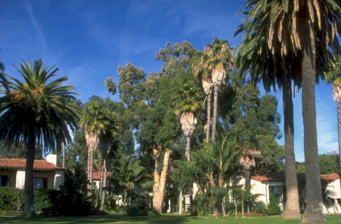 spanish building garden 1980s 1990s A4 Photo Print
