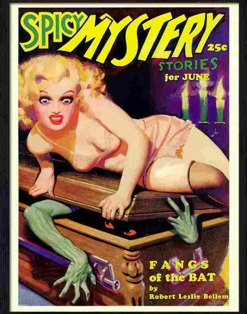 spicy mystery stories ward june 1935  Advert A4 Photo Print