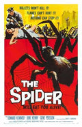 spider  01 film star poster A4 Photo Print
