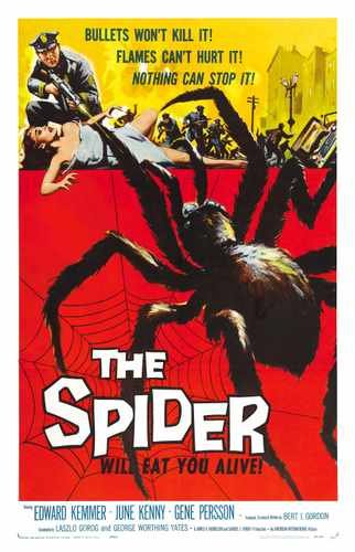 spider  01 film star poster A4 Photo Print