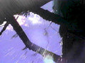 spider rain window1980s 1990s A4 Photo Print