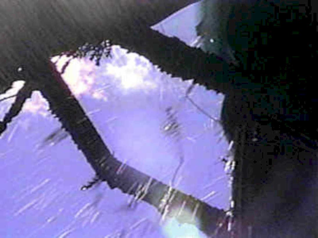 spider rain window1980s 1990s A4 Photo Print