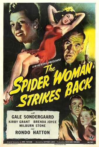 spider woman strikes back  01 film star poster A4 Photo Print