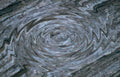 spiral gray abstract Vintage A4 Photo Print