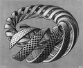 spirals mc escher 1953 A4 Photo Print