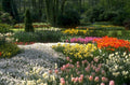 spring flower garden 1980s 1990s A4 Photo Print