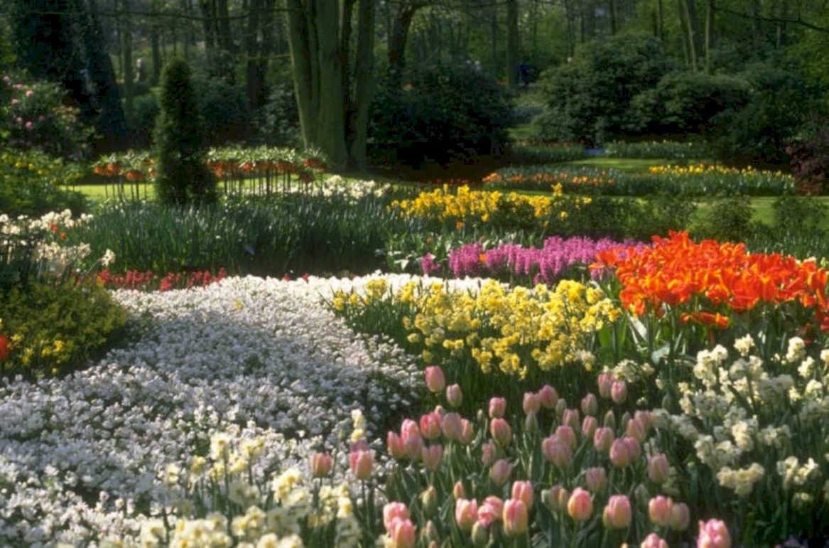 spring flower garden 1980s 1990s A4 Photo Print