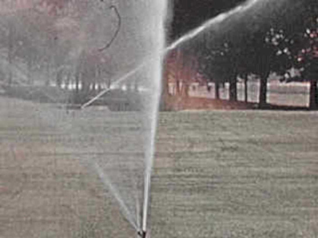 sprinkler lawn evening1980s 1990s A4 Photo Print