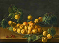 st fruit Art A4 Photo Print