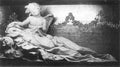 st rose Art A4 Photo Print