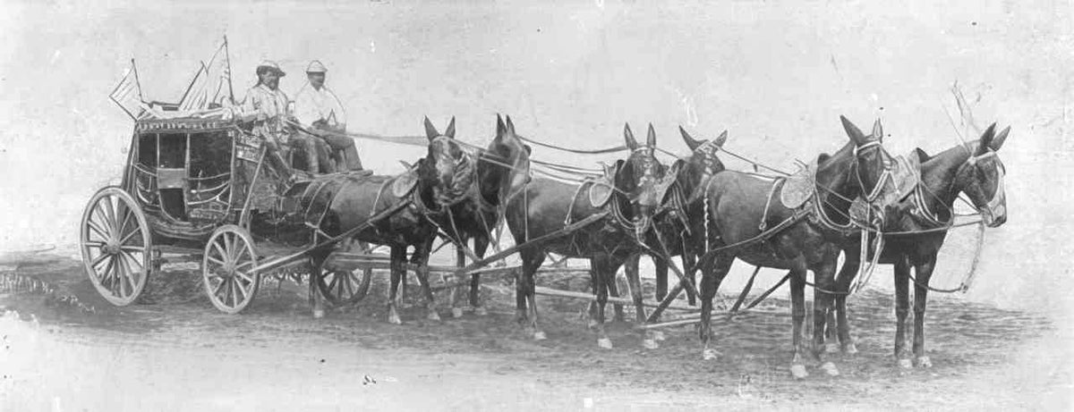 stagecoach horses west Vintage world war A4 Photo Print