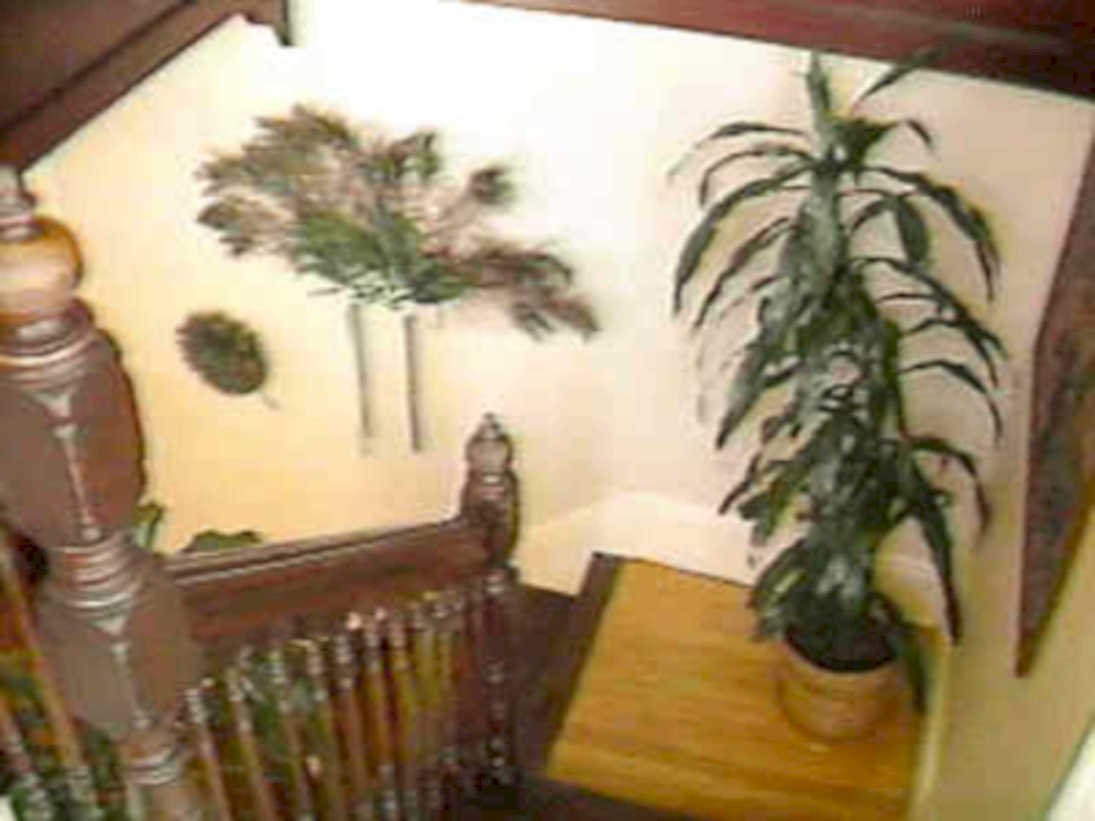 stairwell plants railings1980s 1990s A4 Photo Print