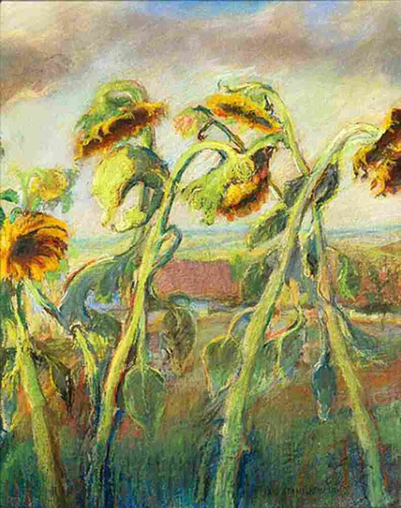 stan Sunflowers Art A4 Photo Print
