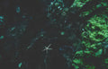 starfish reef motion Vintage A4 Photo Print