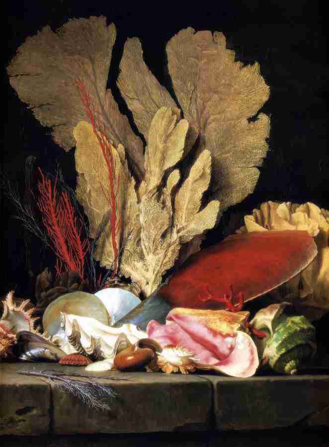 stillife 114 Art A4 Photo Print