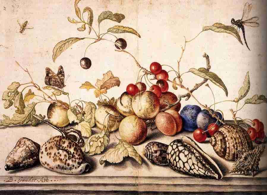 stillife 125 Art A4 Photo Print