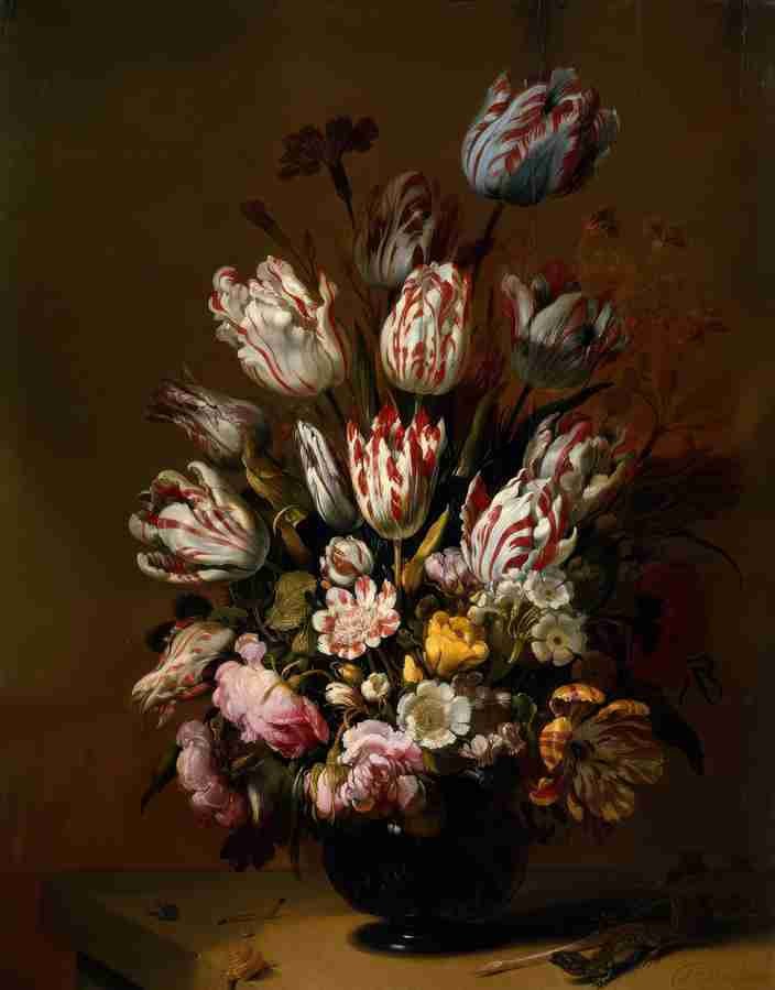 stillife 149 Art A4 Photo Print