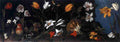 stillife 24 Art A4 Photo Print