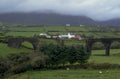 stone bridge sheep 1980s 1990s A4 Photo Print