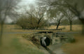 stone bridge winter Vintage A4 Photo Print