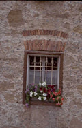 stone building flowers 1980s 1990s A4 Photo Print