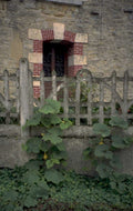 stone cottage fence 1980s 1990s A4 Photo Print