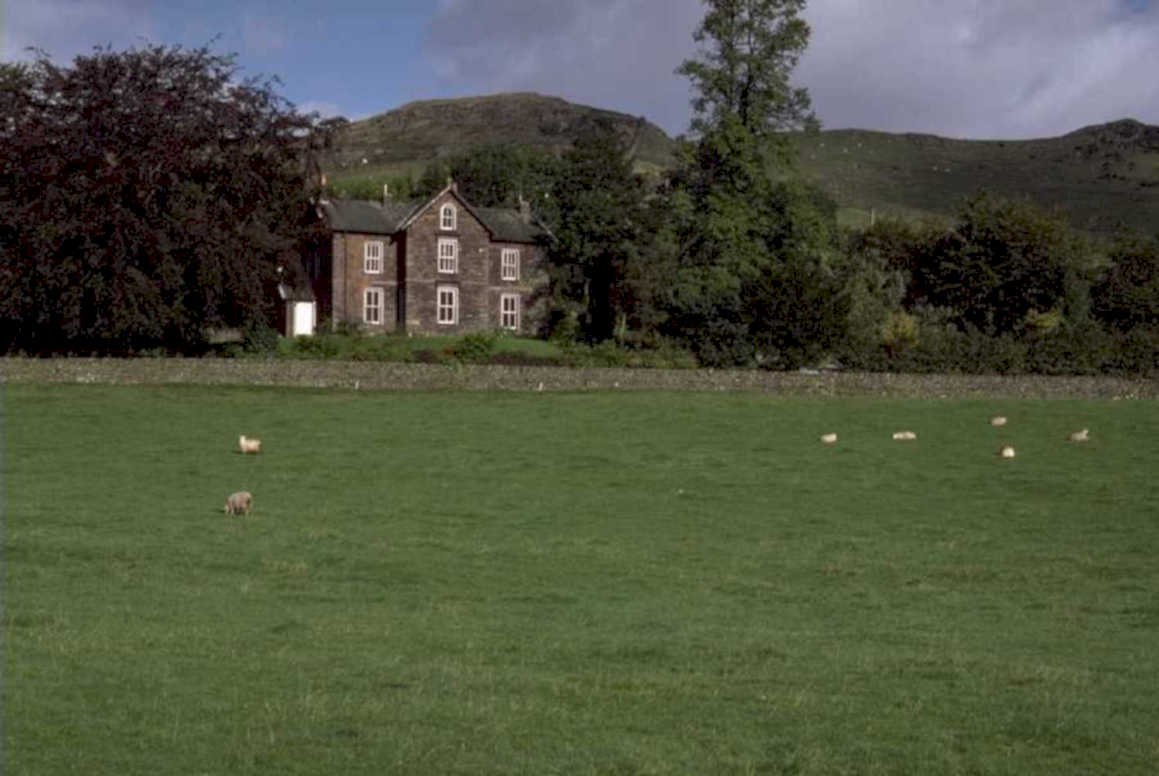 stone cottage sheep 1980s 1990s A4 Photo Print