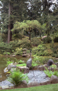 stone cranes garden Vintage A4 Photo Print