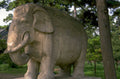 stone elephant statue 1 1980s 1990s A4 Photo Print
