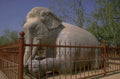 stone elephant statue 2 1980s 1990s A4 Photo Print