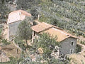 stone farmhouses olive1980s 1990s A4 Photo Print