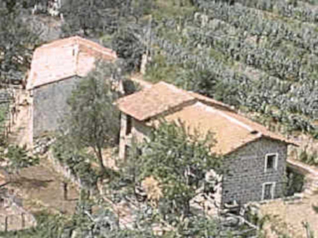 stone farmhouses olive1980s 1990s A4 Photo Print