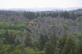 stone forest pagoda 1980s 1990s A4 Photo Print