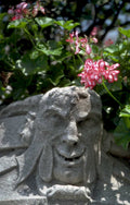 stone goat geraniums 1980s 1990s A4 Photo Print