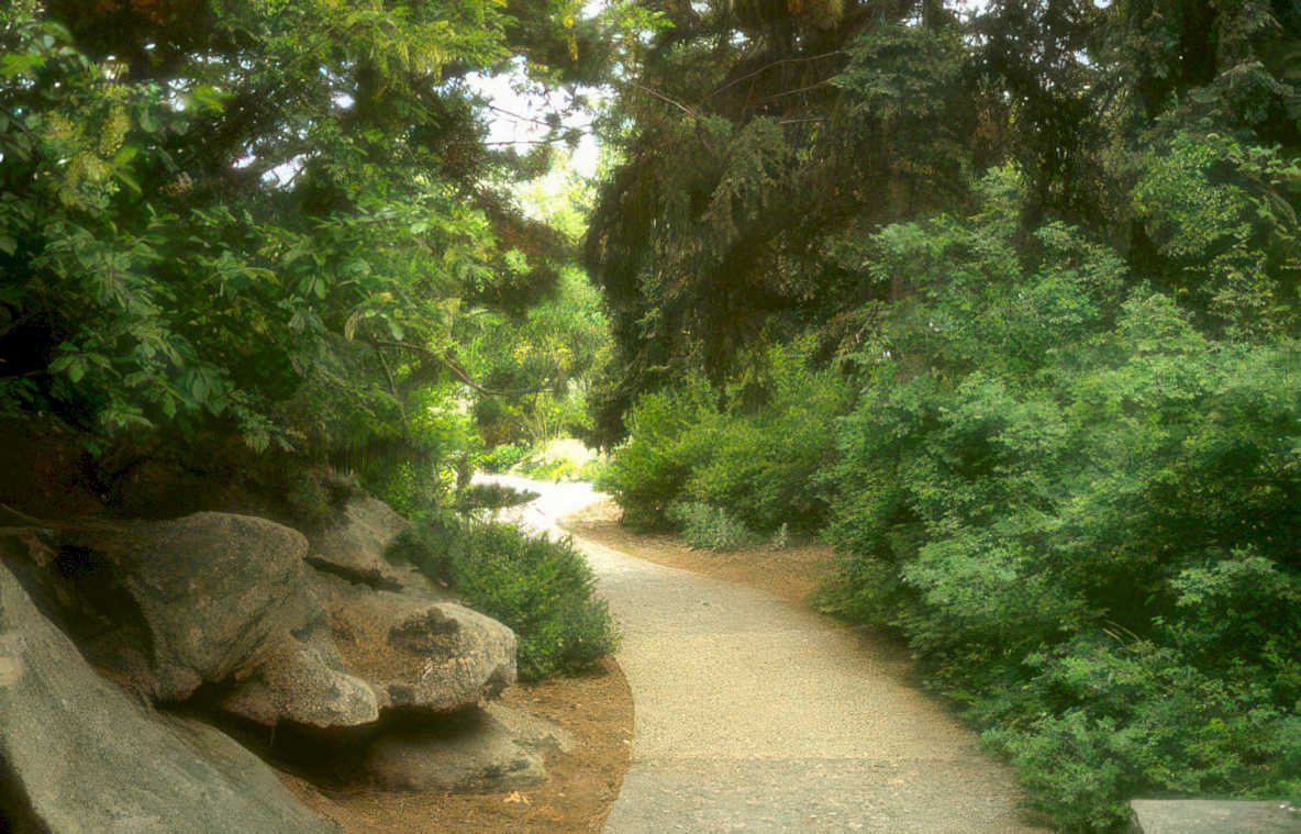 stone path boulders Vintage A4 Photo Print