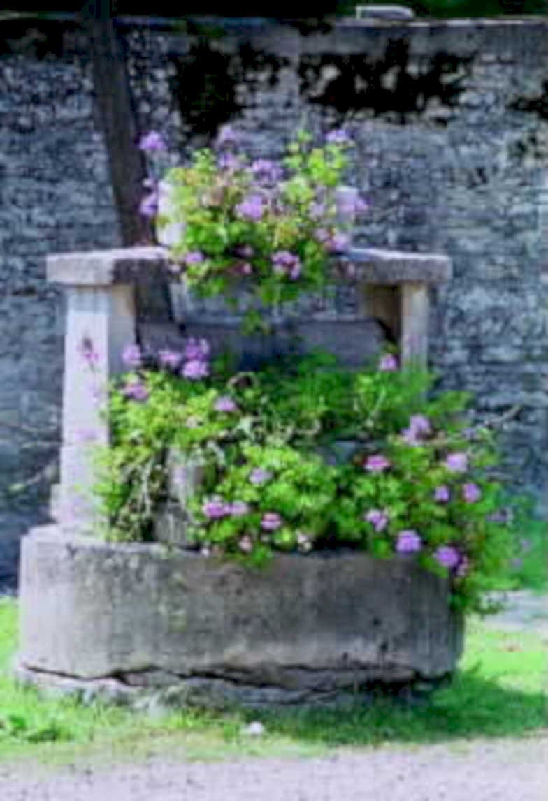 stone well flowers1980s 1990s A4 Photo Print