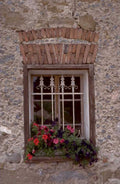 stone window flowers 1980s 1990s A4 Photo Print