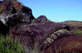 stonehenge rocks bahia1980s 1990s A4 Photo Print