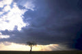 stormy sunset tree 1980s 1990s A4 Photo Print